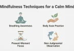 mindfulness techniques for a calm mind